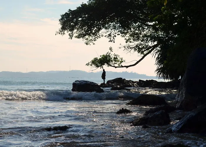 Green View Weligama